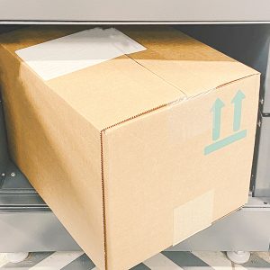 Über 1.300 Online-Betrügereien aufgeklärt: Organisierte Gruppe bestellte Waren auf fremde Kosten