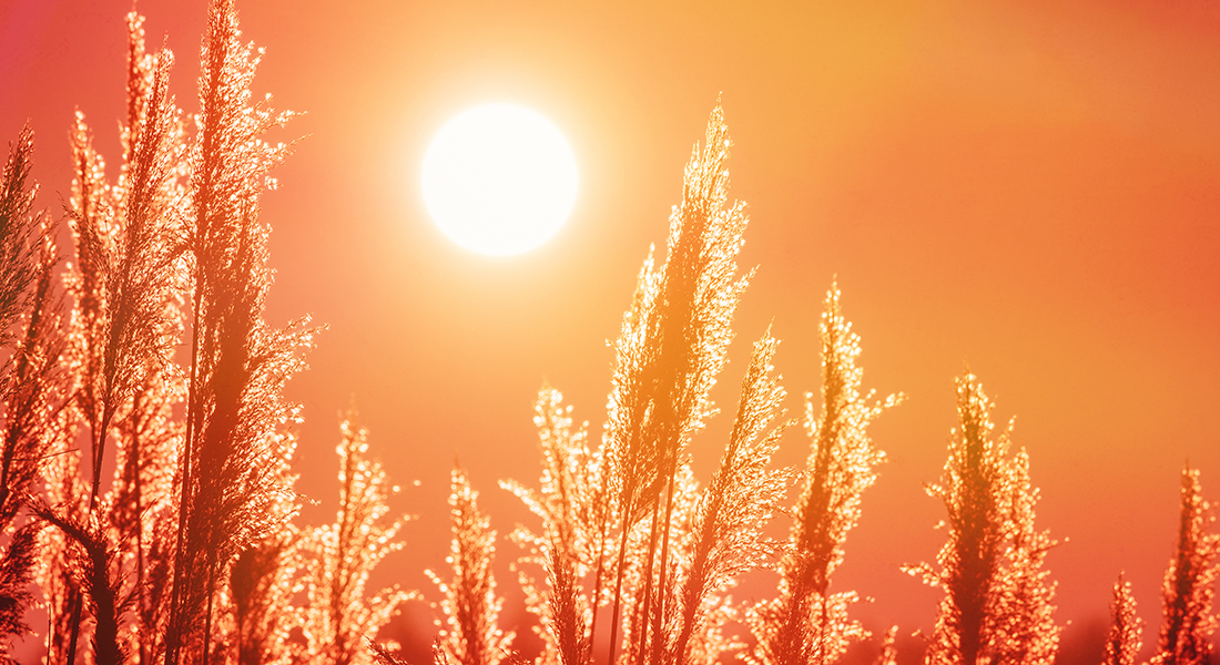 Hitze als Gesundheitsrisiko: Was die neue Hitzeschutzverordnung für Wien bedeutet